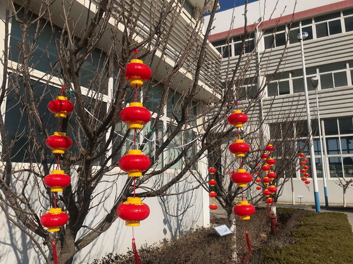 烟台完美电竞·（中国） 竞技平台化工恭祝大家2021牛年行大运